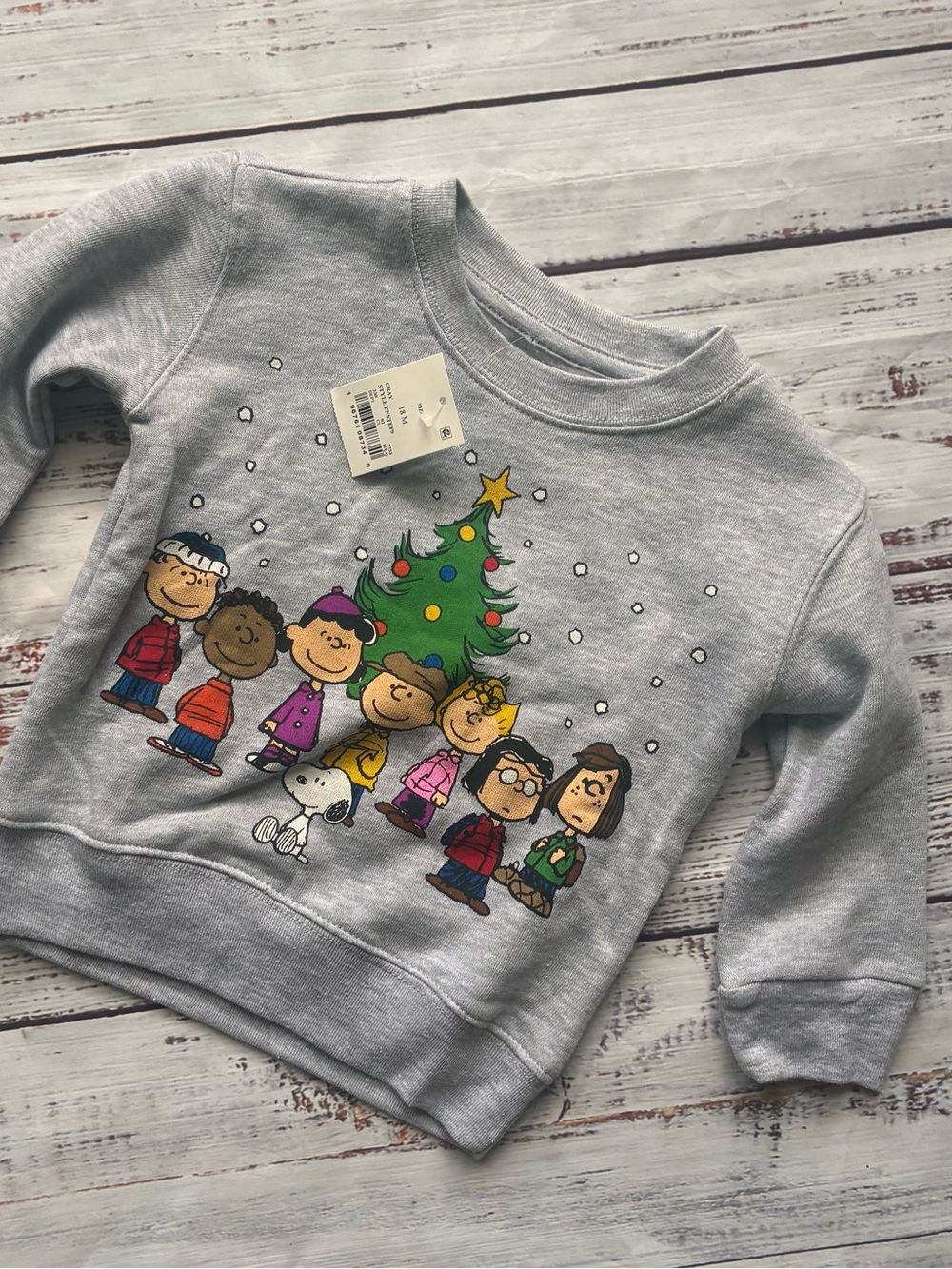 Kids Grey Peanuts Holiday Crewneck Sweatshirt - Snoopy & Friends Size 18 Months